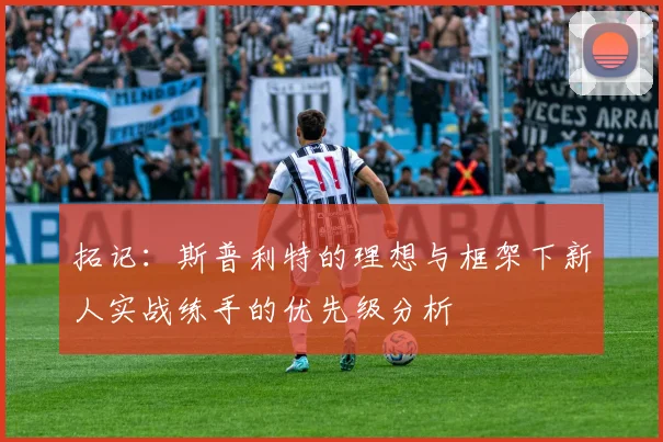拓记：斯普利特的理想与框架下新人实战练手的优先级分析