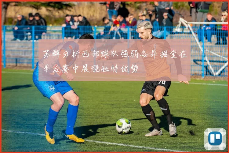苏群分析西部球队强弱各异掘金在季后赛中展现独特优势