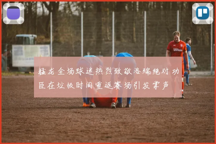 猛龙全场球迷热烈致敬洛瑞绝对功臣在垃圾时间重返赛场引发掌声